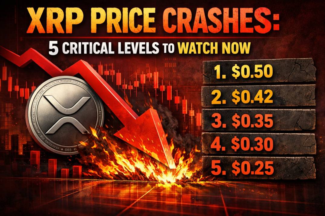 XRP Price Crashes: 5 Critical Levels To Watch Now